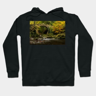 Foleys Bridge, Tollymore Forest Park Hoodie